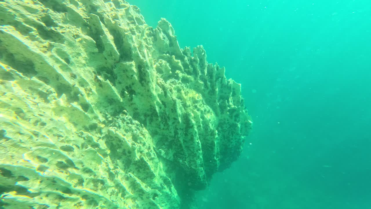 Superficie dettagliata della barriera corallina con texture naturali e luce nelle acque tropicali.