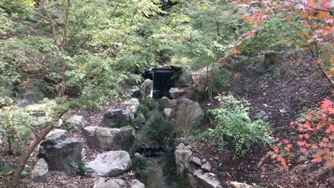 une vue sur un pont situé dans un sanctuaire - parc à kyoto au japon