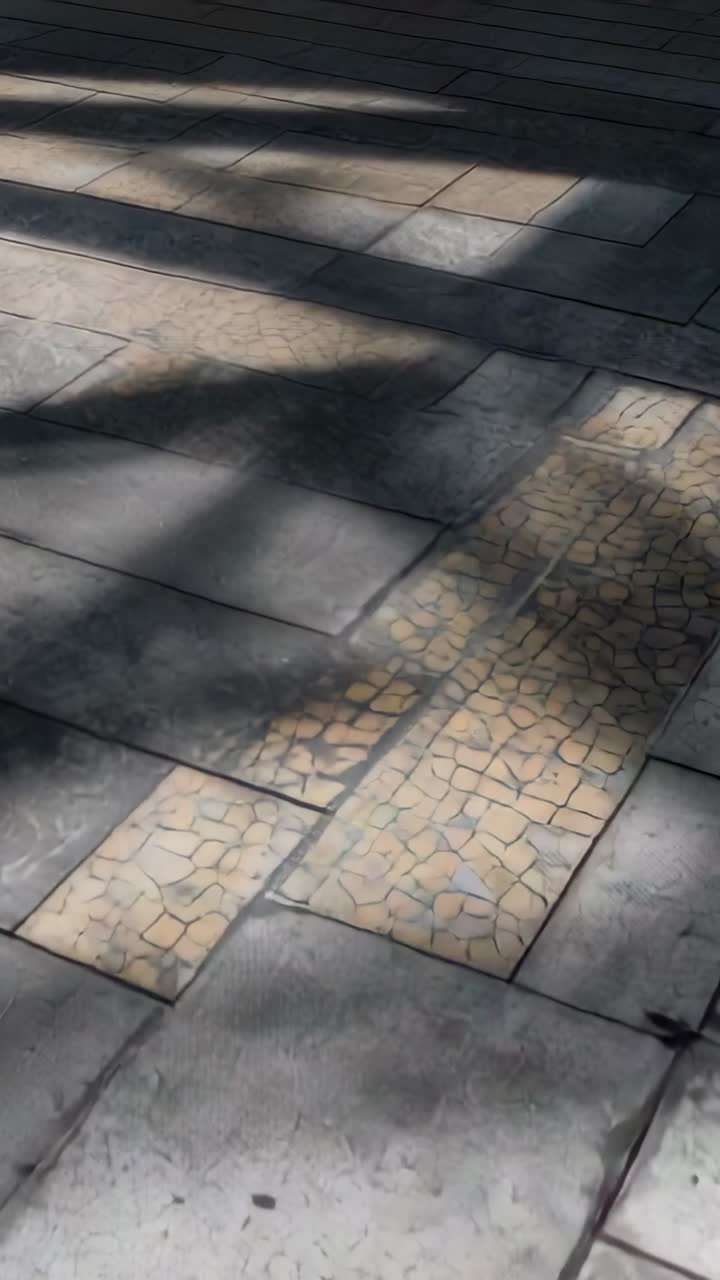 Vertical video: Panning cam showing plaza pavers, sunlight shifting branch shadows revealing mosaic