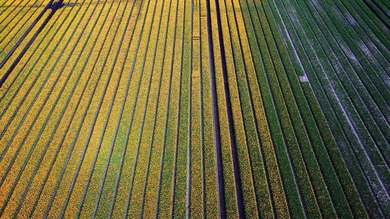 다채로운 립  의 공중 풍경