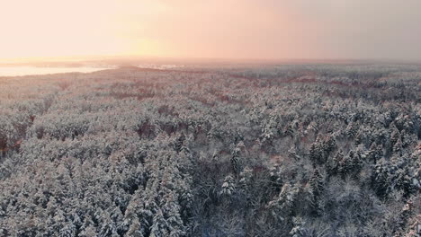 Autofahrten-Auf-Der-Straße-Im-Verschneiten-Wald.-Filmmaterial.-Strahlen-Der-Morgensonne.-Luftaufnahme.-Luftaufnahme-Eines-Verschneiten-Waldes-Mit-Hohen-Kiefern-Und-Einer-Straße-Mit-Einem-Auto-Im-Winter.-Draufsicht-Auf-Die-Winterstraße