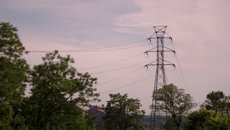 Stromleitungen,-Die-Durch-Ein-Naturschutzgebiet-Verlaufen