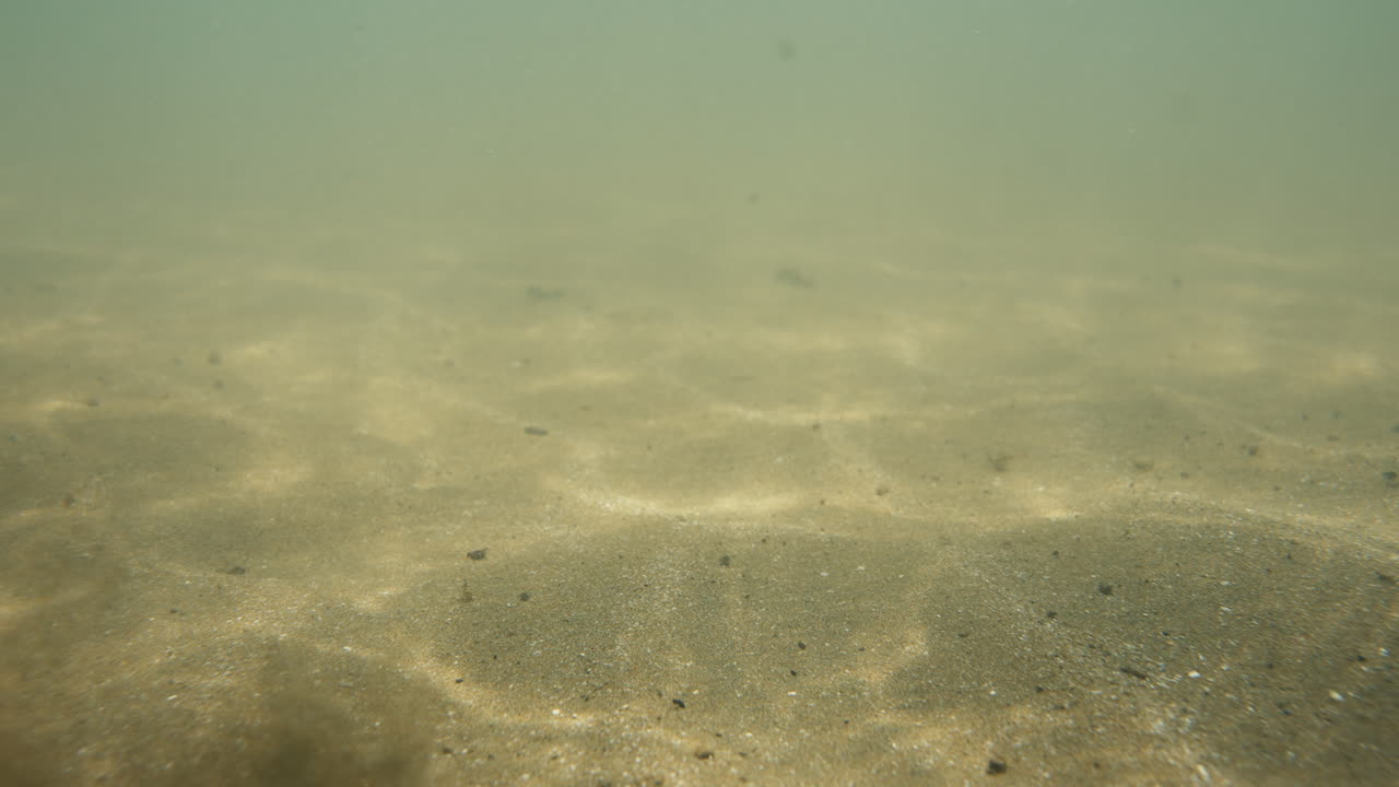 Underwater views of the sea floor