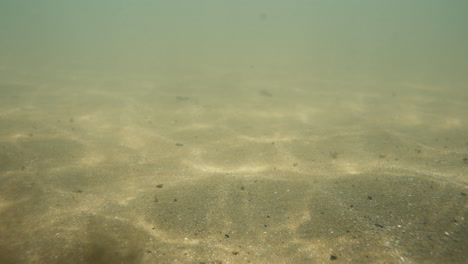 underwater views of the sea floor