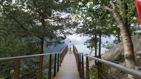 tourist at the observation deck of rampestreken surrounded with tall trees in aandalsnes, more og romsdal county, norway