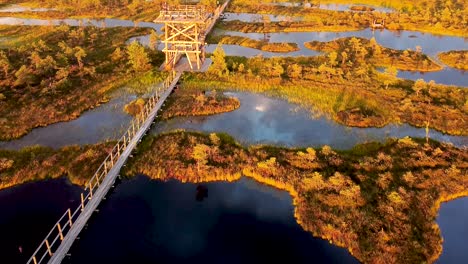 Magical-reflection-on-bog-lakes-during-sunset-in-Estonia,-Männikjärve,-Endla-raba