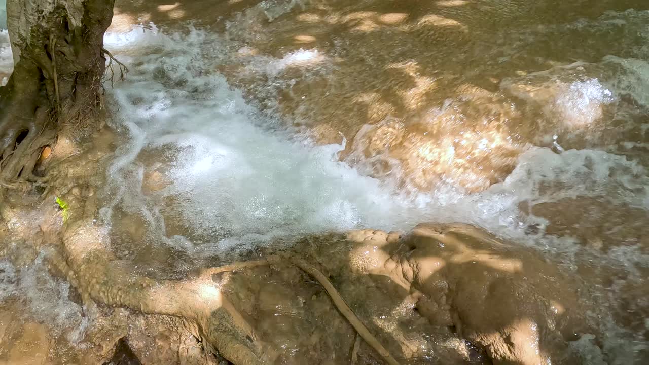 L'acqua scende a cascata su rocce e radici
