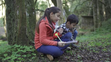 niños étnicos felices con lupa estudiando hojas en el bosque