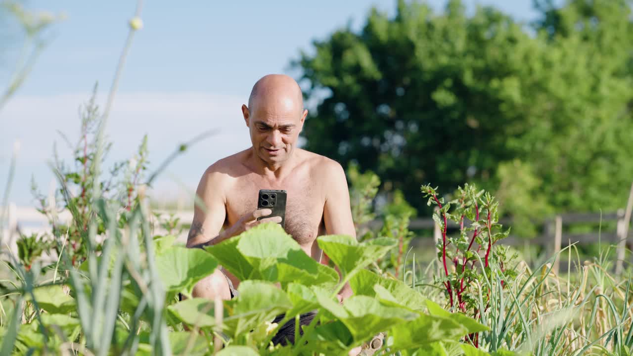 Shirtless bald man using a smartphone in a vegetable garden