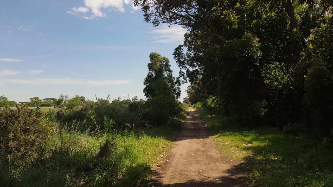 화창한 날 숲 풍경으로 둘러싸인 빈 시골 도로에서 돌리 포워드 샷