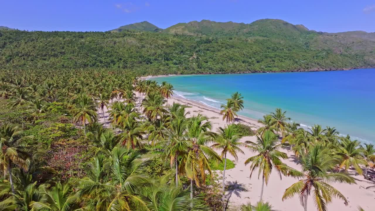 Palme Su Spiaggia Sabbiosa Di Playa Rincon Con Vista Sulle Montagne Nella Repubblica Dominicana