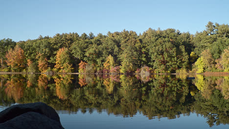 The-camera-slowly-rises-with-a-stone-in-the-foreground,-providing-depth-for-a-distant-colorful-autumn-forest-standing-beyond-a-reflective-lake