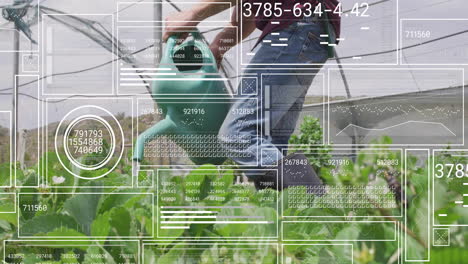 male farmer using green watering can in greenhouse, overlaying ui graphics showing crop growth data