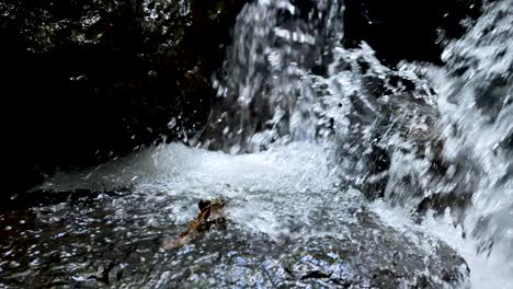 water cascades energetically over a moss-covered rock in a forest stream, captured in natural daylight with a stable, close-up perspective and dynamic motion