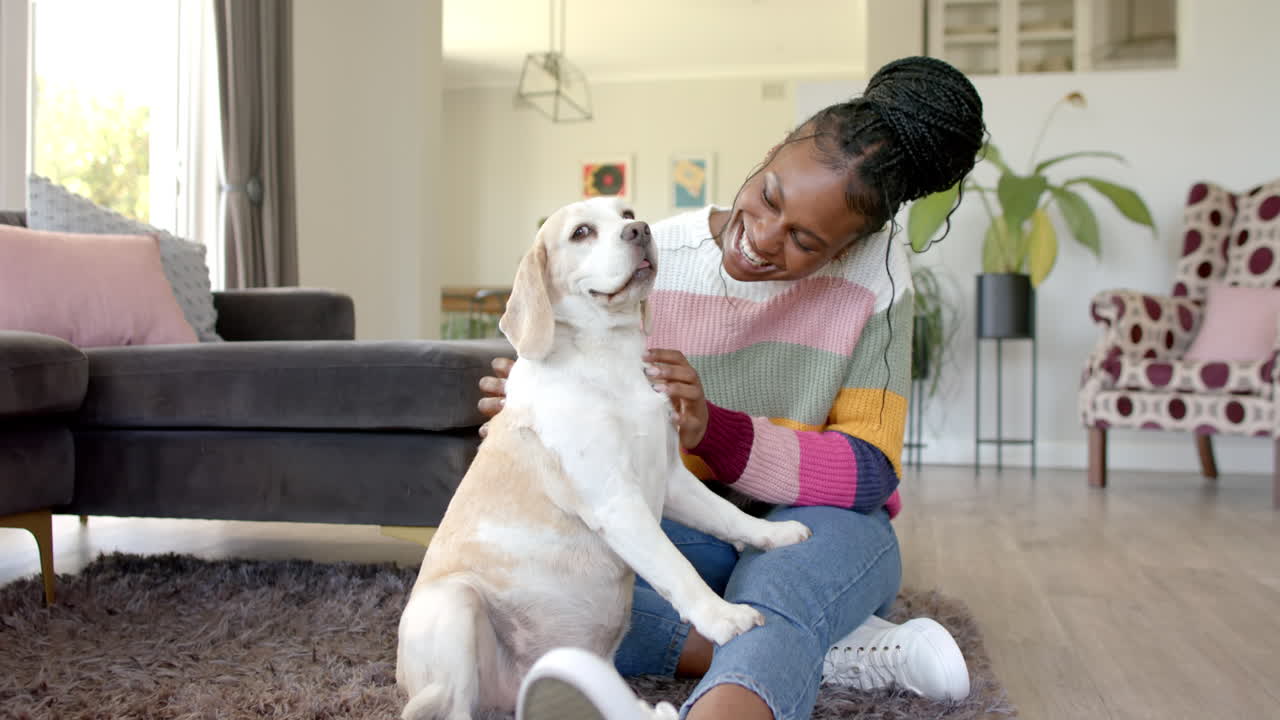 Lachende vrouw zit op de vloer en aait een hond in een gezellige woonkamer.