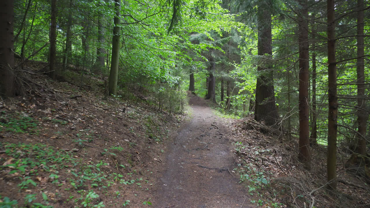 Remote Dirt Road On Forest Mountains In Slovakia Carpathians. Dolly Shot