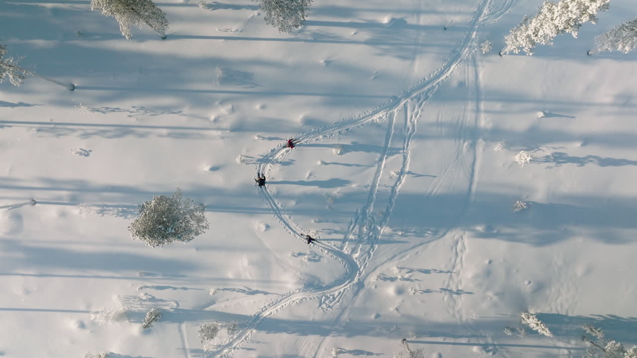 Top View Of Skiers In Deep Snow Ground Forest In Rovaniemi, Finland