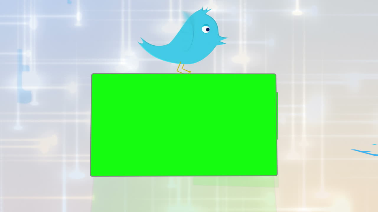 작은 파란 새와 함께 크로마 키