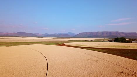 Drone-Vuela-Sobre-Un-Campo-De-Trigo-Con-Montañas-En-La-Distancia