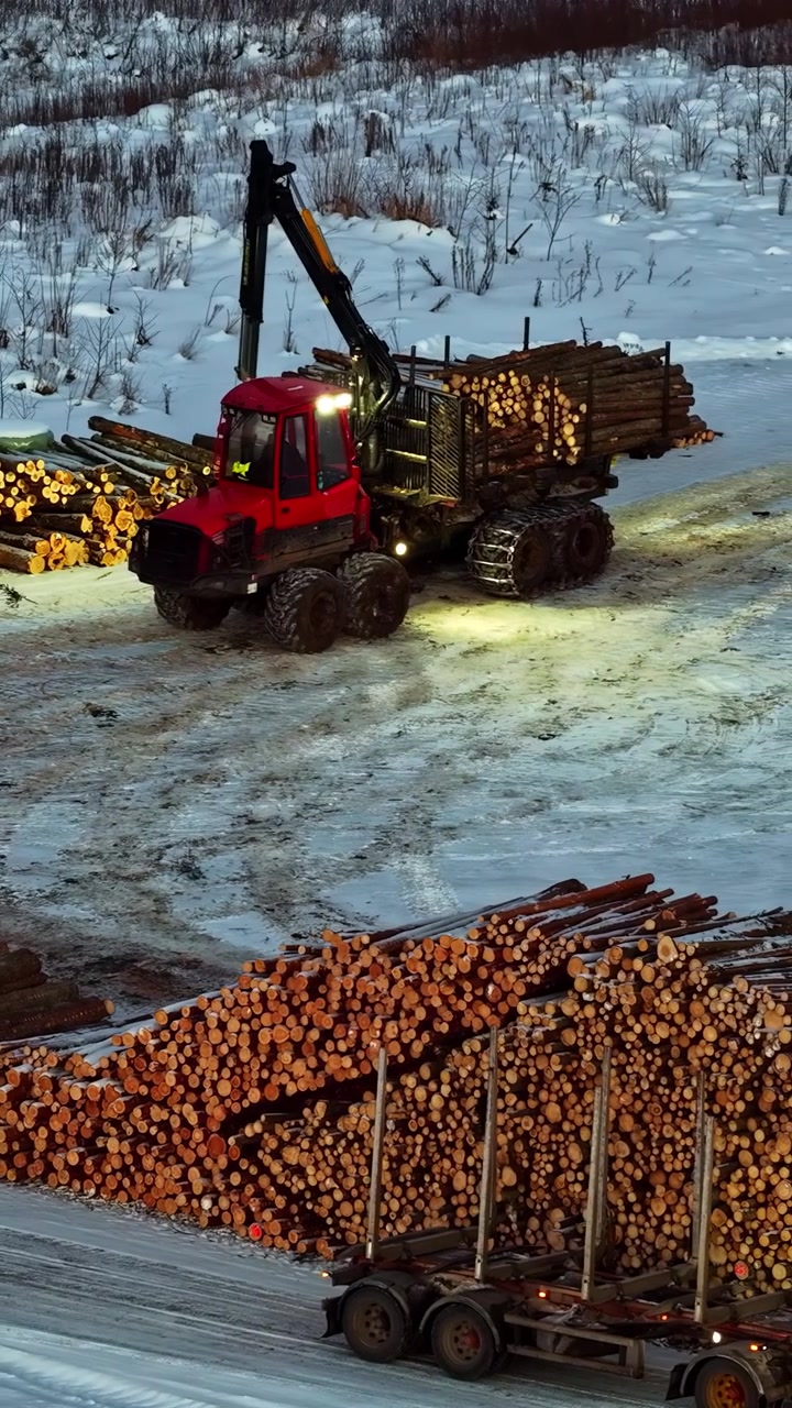 Forwarder machine loading cut logs in a snow-covered forest clearing