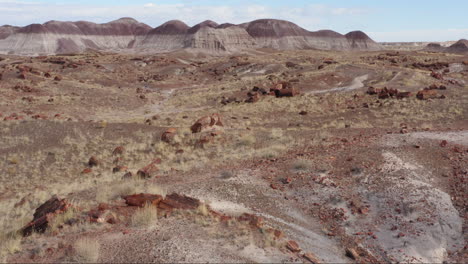 petrified tree logs with badlands in background in petrified forest np, arizona