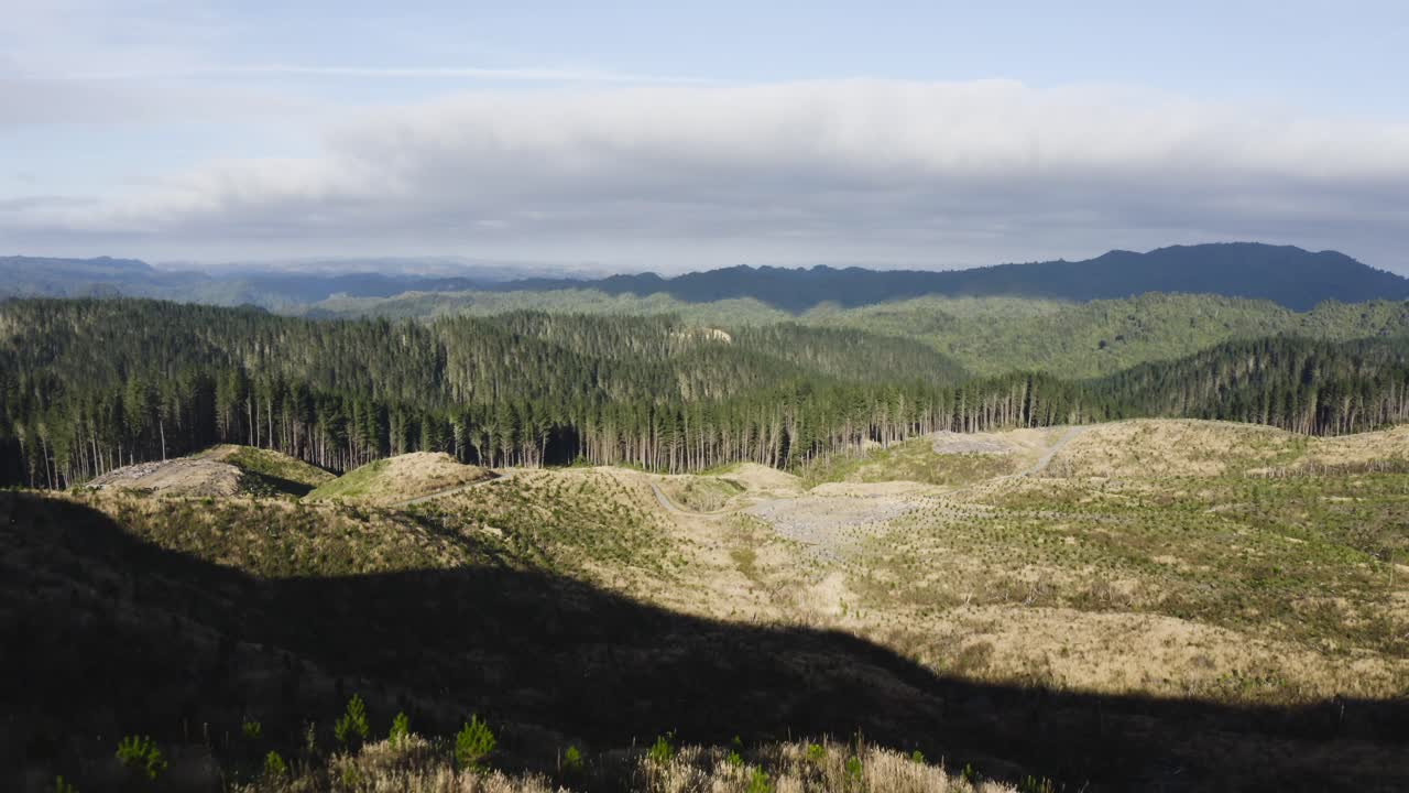 desmonte creando campo abierto en bosques naturales, impacto humano en la naturaleza, antena