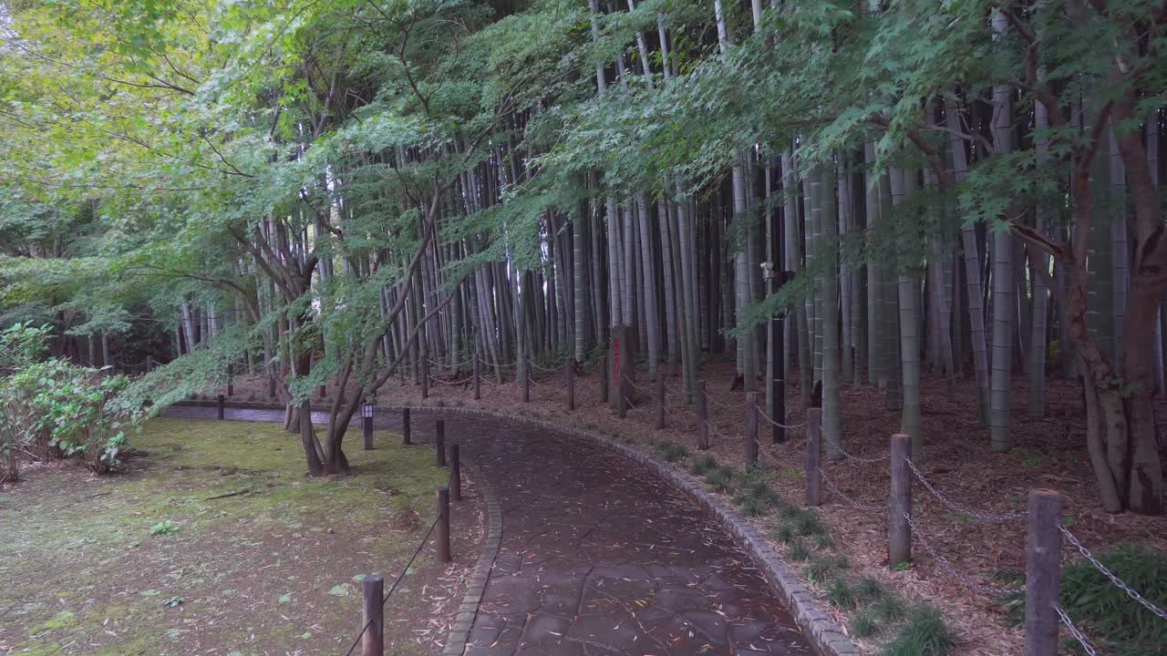 Entrances to Buddhist temples in Japan usually have a very special and beautiful landscaping design, in this case a bamboo corridor at the main entrance to Toenji Temple in Tokyo.