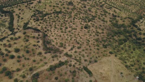 Aerial-countryside-view-tilting-up-into-the-horizon