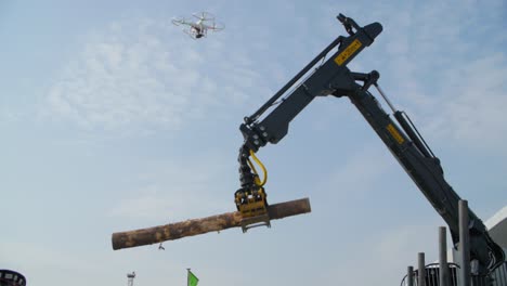 crane lifting a log