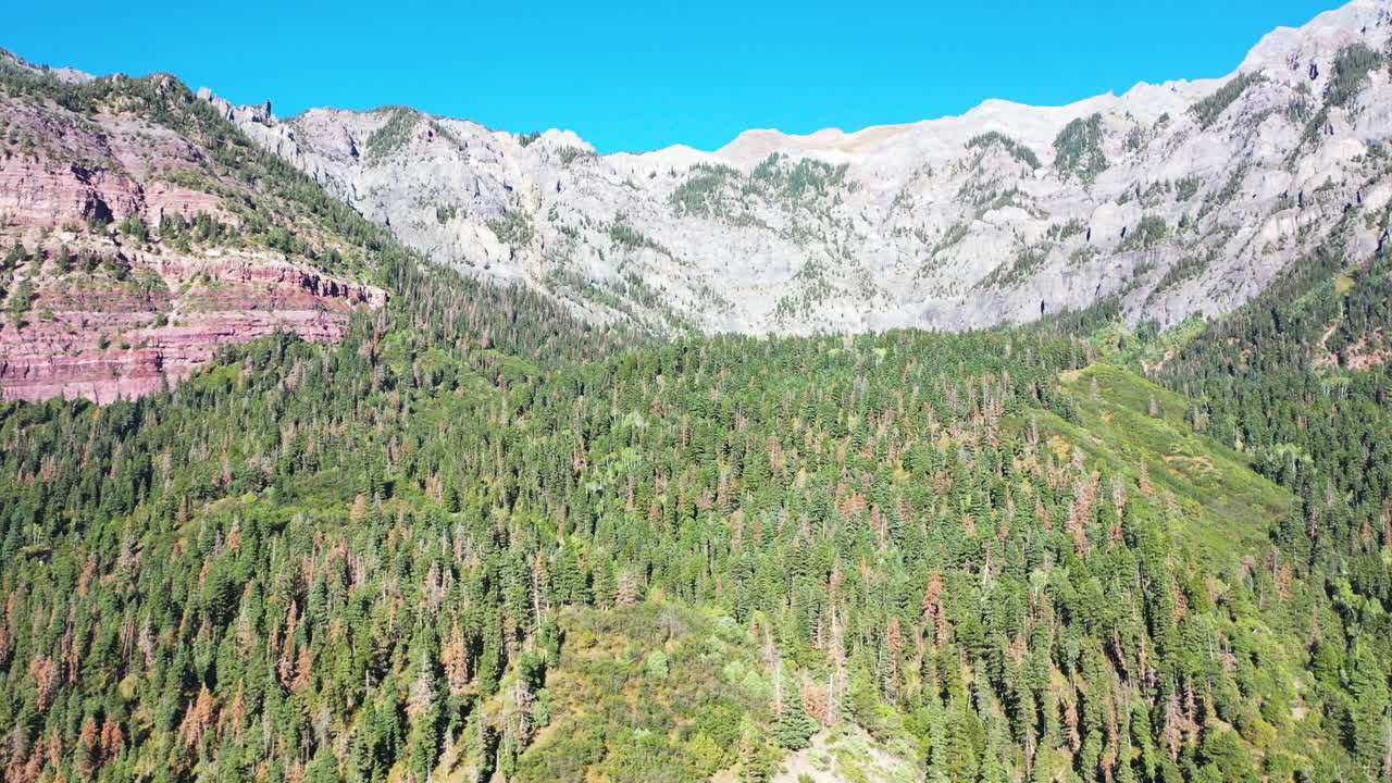 여름 동안 아름다운 우레이 콜로라도 울창한 소나무 숲과 산맥의 공중 드론 공개