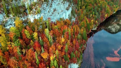 Vogelperspektive-Auf-Die-Bunten-Wälder-Und-Klippen-Am-Ufer-Des-Toplitzsees,-Österreich