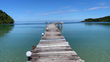 un muelle de madera que conduce al océano en una isla tropical