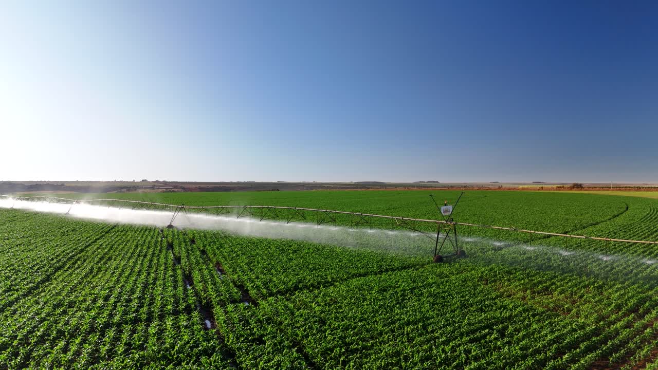 Drone view of corn field being irrigated by center pivot system - Goiás, Brazil