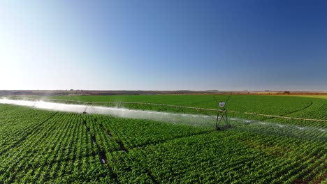 drone view of corn field being irrigated by center pivot system - goiás, brazil