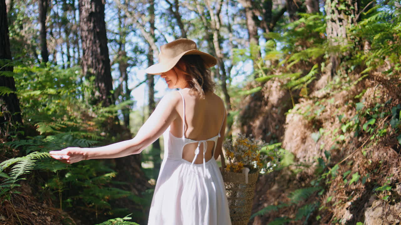 Explorer strolling wild forest overlooking green plants back view. Woman walking