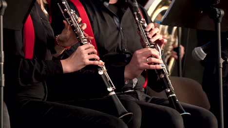 orchestra members playing clarinets during jazz band concert on stage