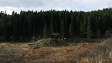 indre fosen, condado de trondelag, noruega - una vista de una cabaña rodeada de árboles de hoja perenne - retroceso aéreo