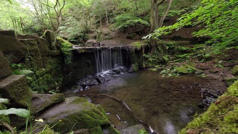 peaceful zen forest lush waterfall time lapse fresh flowing water