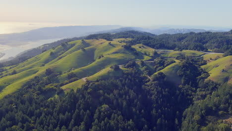 the green rolling topography of mt tamalpais, california - aerial view of picturesque landscape