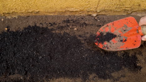 woman spreading fertilizer with a spoon over the earth that will plant vegetables