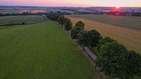 view of an alley of trees in the summer in the early evening and the city on the horizon, czech republic