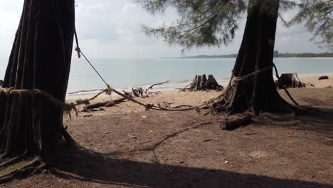 Landschaftsansicht-Des-Grünen-Parks-In-Der-Nähe-Des-Meeres-Mit-Weißer-Sandstrandlandschaft-An-Sonnigen-Sommertagen-In-Phuket,-Thailand,-Mit-Seekiefer-Im-Vordergrund-–-4K-UHD-Video-In-Zeitlupe