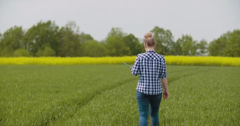 Landwirtschaft-Bäuerin-Untersucht-Junges-Weizenfeld