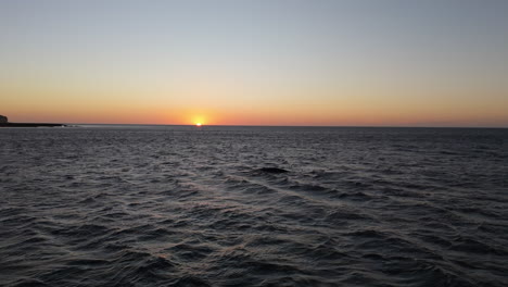 tranquil aerial of a southern right whale near appearing at surface of the water, peaceful marine environment