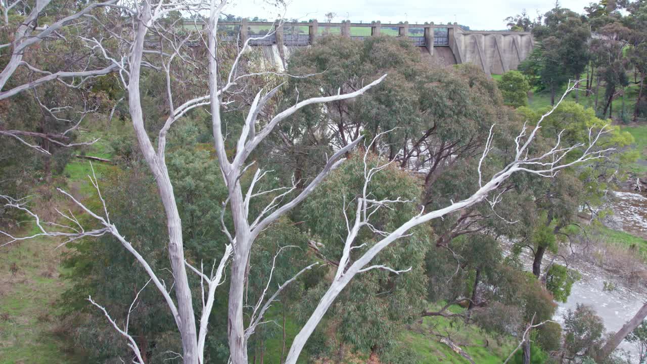 Rising aerial footage of water being released from Lauriston Reservoir, in central Victoria. October 2022.
