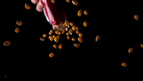 pouring yellow corn grains out of a red plastic bag in slow motion