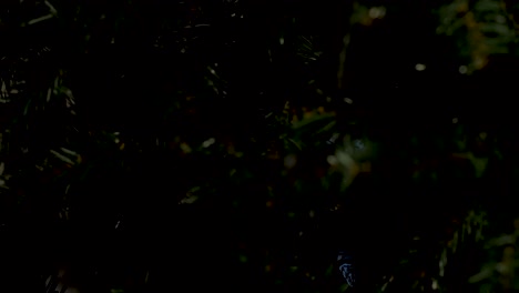 luces navideñas de tonos cálidos, encendiéndose y apagándose en secuencia
