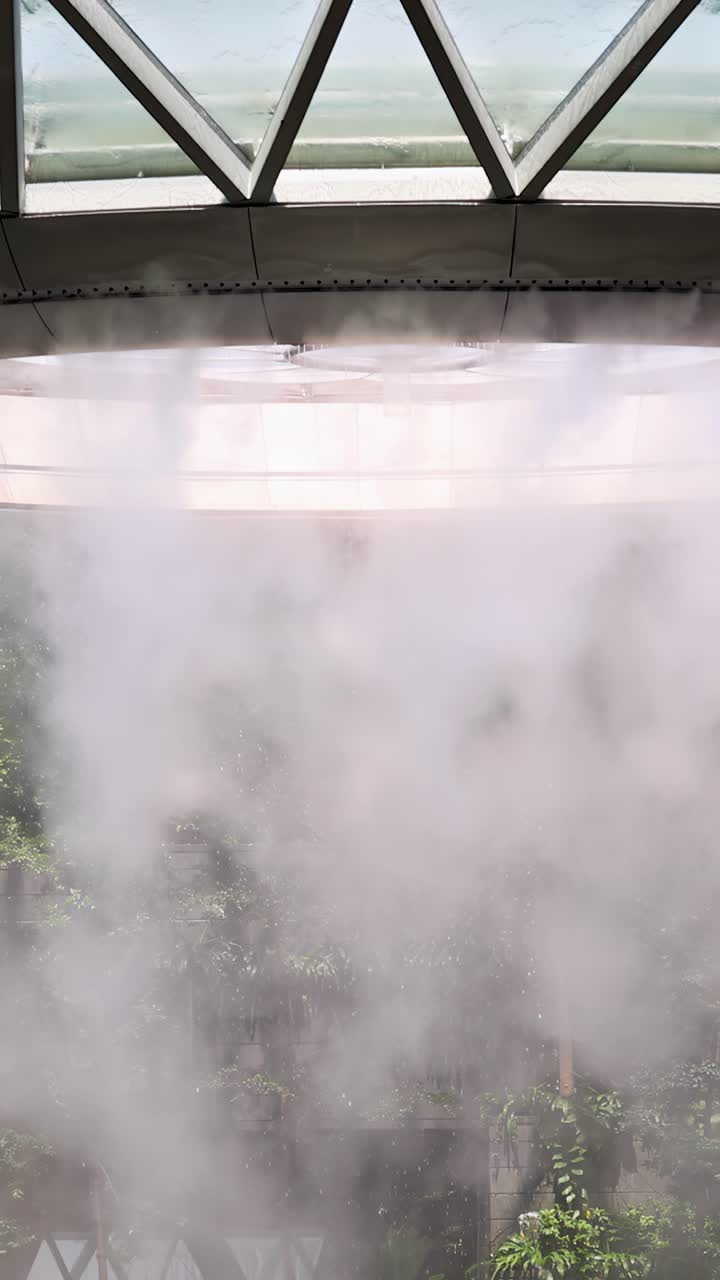 Una densa niebla brota de un techo de cristal circular, envolviendo una exuberante vegetación interior en un atrio luminoso y moderno con luz natural y cámara fija.