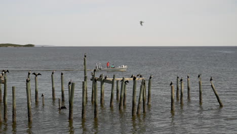 Un-Barco-De-Pesca-Cruzando-Las-Aguas-De-Cedro-Clave-Por-Algunas-Gaviotas