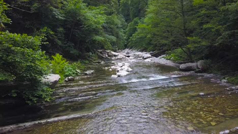 serene mountain river in a lush forest